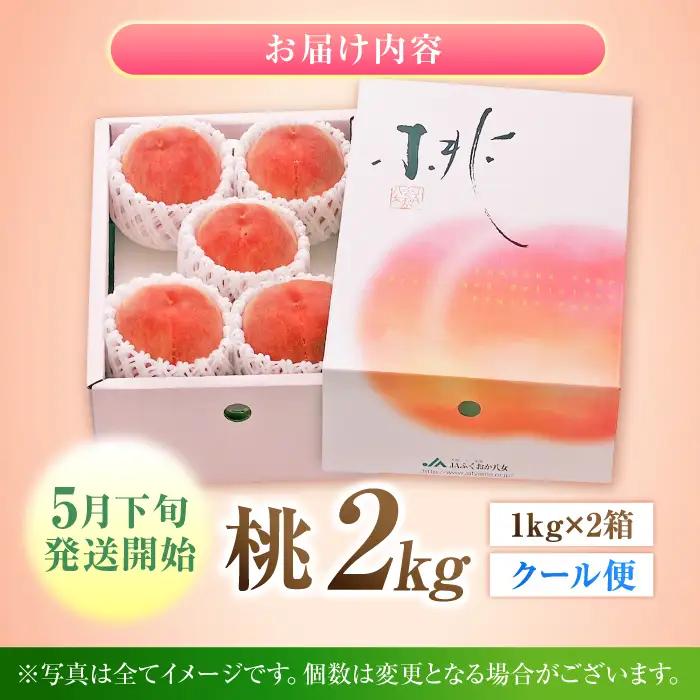 【先行予約 2027年5月下旬より発送】 桃 化粧箱入り 約2kg（約1kg×2箱） / 桃 もも モモ[AFAB062]