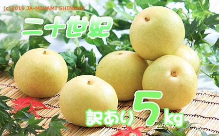 A-107 梨　二十世紀※訳あり　約5㎏【8～16玉】※2026年発送　先行予約分※