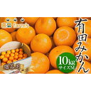 【ふるさと納税】産地直送 贈答用 有田みかん Mサイズ 約10kg 喜楽farms 【2025年11月以降順次発送】 | みかん 柑橘 和歌山 有田 蜜柑 柑橘類 和歌山県 有田川町 果物 フルーツ 贈り物 ギフト ふるさと納税 返礼品 故郷納税