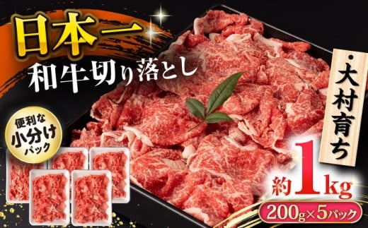 大村育ち 長崎和牛 切り落とし肉 1kg / 牛肉 赤身 小分け すき焼き 煮込み/ 大村市 / おおむら夢ファームシュシュ [ACAA475]