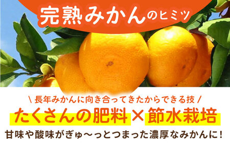 ＜先行予約＞【11月?12月発送】タッチの甘熟 早生みかん 太陽のしずく 5kg【夢の甘熟みかん タッチ】[HCE001]フルーツ 佐賀みかん 温州みかん みかん 早生みかん 年内発送