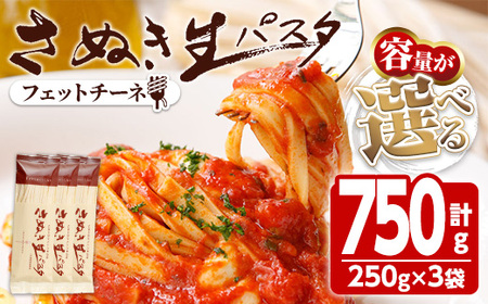 さぬき生パスタ (フェットチーネ) (750g) 小麦 麺 小分け 常温 コシ もちもち 香川県 【man189】【こんぴらや販売】