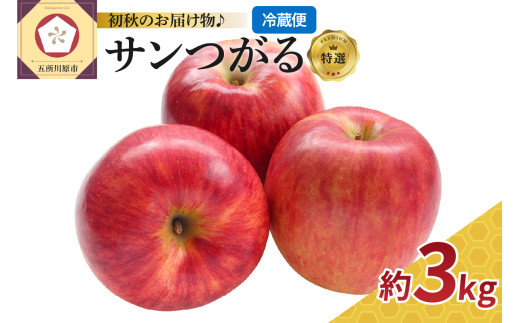 【9月発送】 りんご 3kg サンつがる ≪特選≫ 青森 【2026年 リンゴ 林檎 果物 フルーツ クール便】