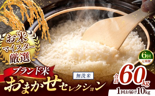 【 令和7年産 】おまかせ セレクション 【定期便6回】熊本県産 無洗米  ＜ひのひかり / 森のくまさん / くまさんの輝き ＞ 10kg  | 単一銘柄 米 単一米 お米 こめ 小分け 人気 コメ お米 5kg 10kg 15kg 20kg 25kg 30kg 定期便 3回 6回 12回 ブランド米 菊池川流域 家庭用 送料無料 熊本 くまもと 熊本県 和水 和水町 人気 ごはん