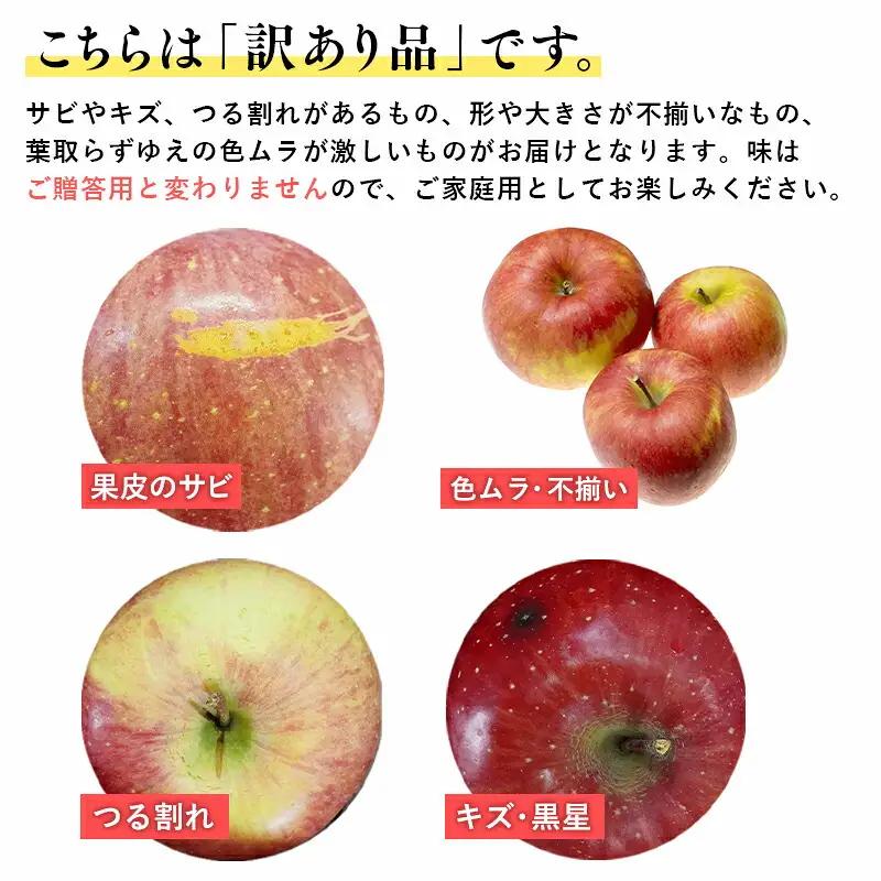 3月 葉取らずサンふじ 約10kg 訳あり 家庭用 [hi-0009-009]