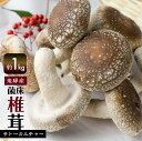 【ふるさと納税】《先行予約》 菌床しいたけ 計約1kg 国産 椎茸 小分け 4パック シイタケ 生しいたけ きのこ キノコ 鍋に すきやきに［Q946］ 10000円 1万