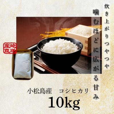 ふるさと納税 小松島市 【配送時期が選べる】米 コシヒカリ 10kg 小松島市 令和7年産 精米 白米 |  | 03