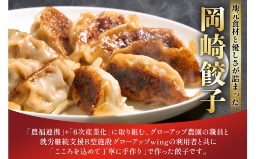 餃子 岡崎餃子 15個 3回 定期便 [グローアップ 愛知県 岡崎市 ok23bzw550008] ぎょうざ ギョウザ 冷凍餃子 冷凍ギョウザ 冷凍ぎょうざ おかず 冷凍おかず おつまみ ツマミ