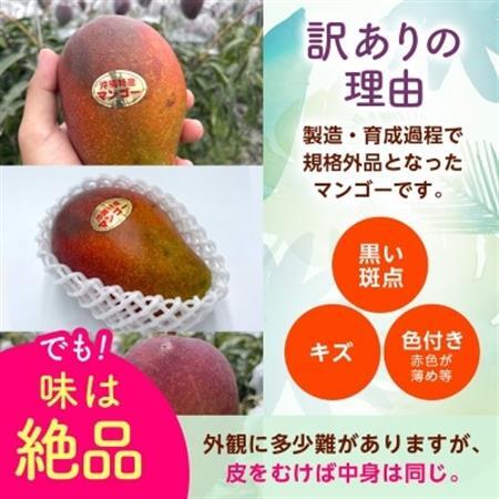 【2026年6月から順次発送・訳あり】JAおきなわ厳選 アップルマンゴー1.5kg(3～6玉)【配送不可地域：離島】【1724295】