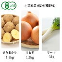 【ふるさと納税】小笠原農園の有機野菜3種詰合せ（きたあかり1.5kg・玉ねぎ1.5kg・リーキ3kg）【北海道十勝幕別】≪2024年秋出荷先行予約≫　【野菜・じゃがいも・野菜・玉ねぎ・玉葱・タマネギ・ねぎ・葱・セット・詰め合わせ】　お届け：2024年9月下旬～12月下旬