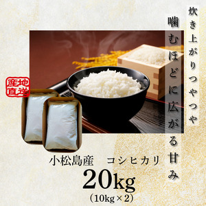 【配送時期が選べる】米 コシヒカリ 20kg 小松島市 令和7年産 精米 白米 お米