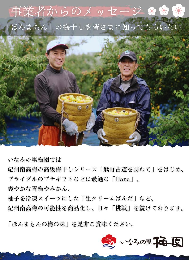 【贈答用】紀州南高梅 食べ比べセット 500g×2　（はちみつ・優梅） 梅干し【inm900-2B】