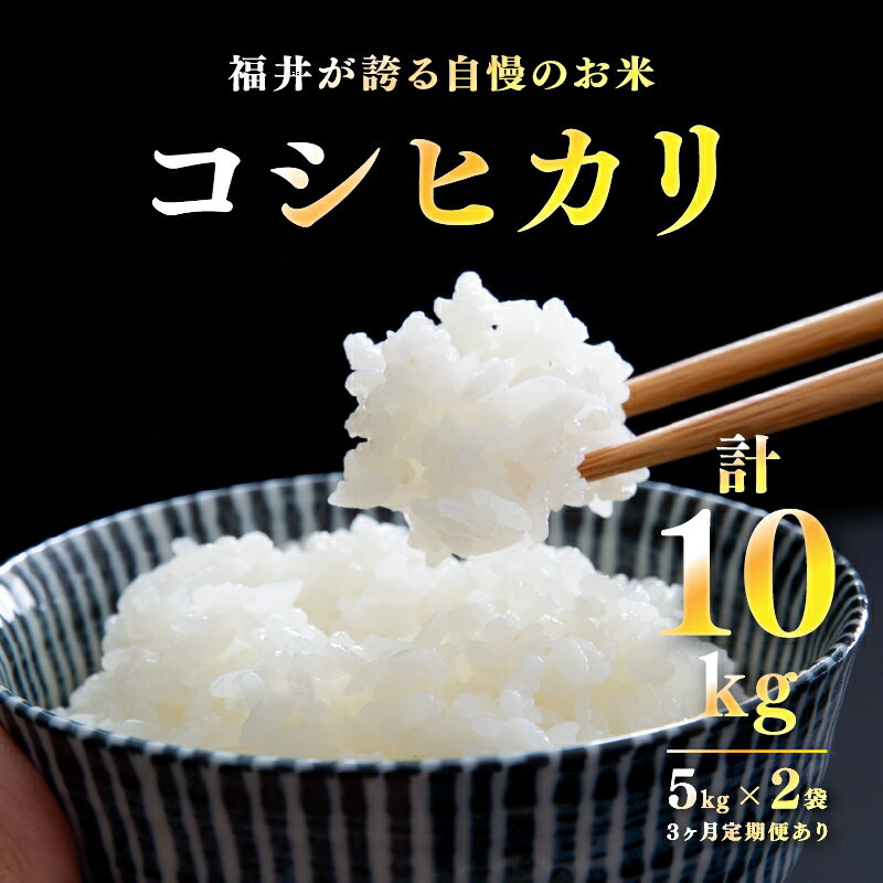 【ふるさと納税】【選べる配送回数！】【数量限定！30袋限定販売！】令和7年産 コシヒカリ　5kg×2袋（計10kg） 定期便あり！[C-10112] / お米 精米 ご飯 こしひかり ごはん 米農家 農業男子 鮮度抜群 福井県鯖江市