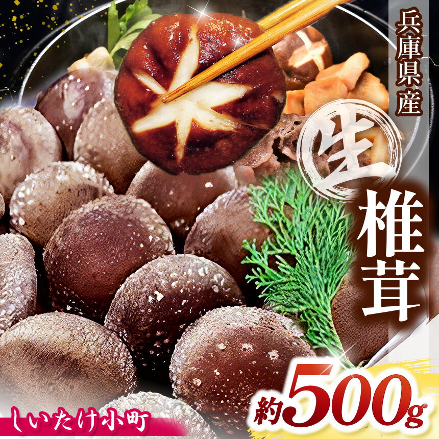 【ふるさと納税】 兵庫県産 生椎茸 「しいたけ小町」 約500g | しいたけ シイタケ 椎茸 きのこ キノコ 茸 兵庫県 上郡町