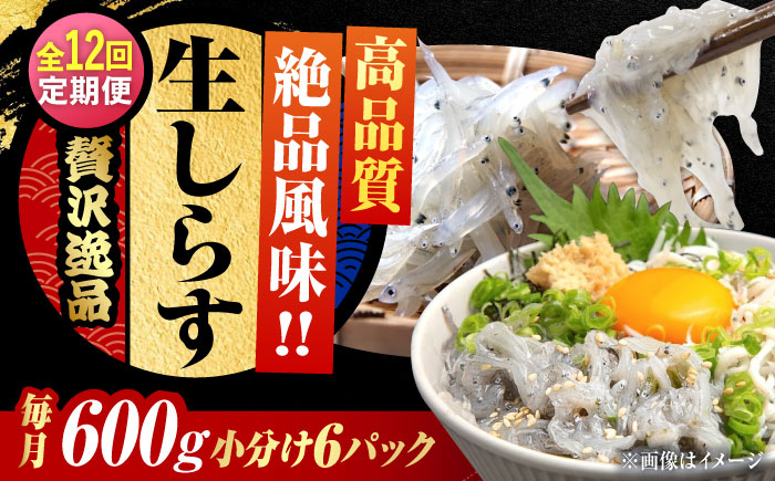 
            【全12回定期便】しらす 冷凍 シラス 小分け 干し 生しらすのプリッした食感と塩味が抜群！生しらす100g×6個 冷凍 シラス 鮮魚 ギフト 海鮮丼 広島県産 江田島市/三島水産株式会社 [XCN022]
          