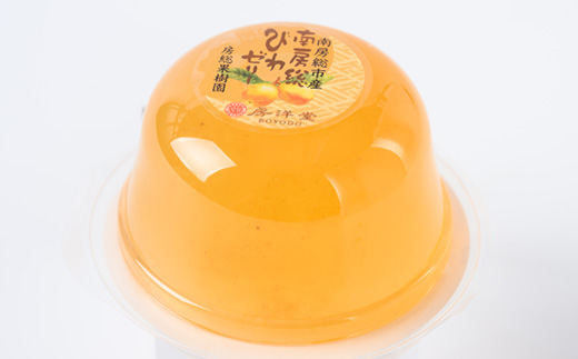 【祝・全国菓子大博覧会2025/観光庁長官賞受賞】南房総びわゼリー15個入【1636140】