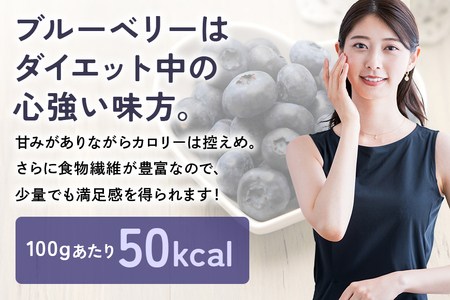 冷凍ブルーベリー 1.5kg ブルーベリー 冷凍 フルーツ 果物 くだもの 冷凍フルーツ 冷凍果物 完熟 新鮮 目にいい 健康 美容 人気 ギフト 贈り物 プレゼント 茨城県産 55-F