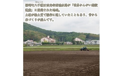 【 精米 新米 】令和7年度産　ヒノヒカリ 八千種米　お米 10kg　ごはん　兵庫県産　世界かんがい施設遺産登録『西光寺野疏水路』