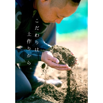 コウ果樹園の【厳選】「甘平」3kg【C33−11】【1056131】
