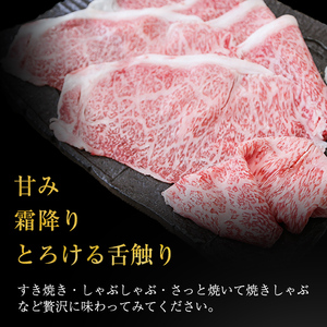 【2024年4月末までに配送】「牛肉の王様」A5等級鹿児島県産黒毛和牛サーロインスライス1kg(200g×5パック)！ b7-015-2404
