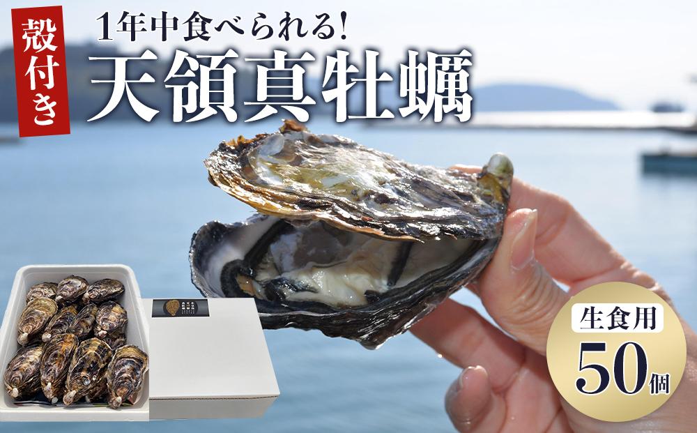 小豆島 天領真牡蠣 (殻付き生食用) 50個セット