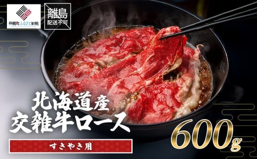 北海道産交雑牛ロースすき焼き用 600g 【 ふるさと納税 人気 おすすめ ランキング 牛肉 肉 にく ニク 北海道産 乳用牛 と 黒毛和牛 の 交雑牛 ウデ肉 モモ肉 赤身 すき焼き しゃぶしゃぶ 老舗 冷凍 ギフト 贈答 プレゼント 北海道 美幌町 送料無料 】 BHRJ035