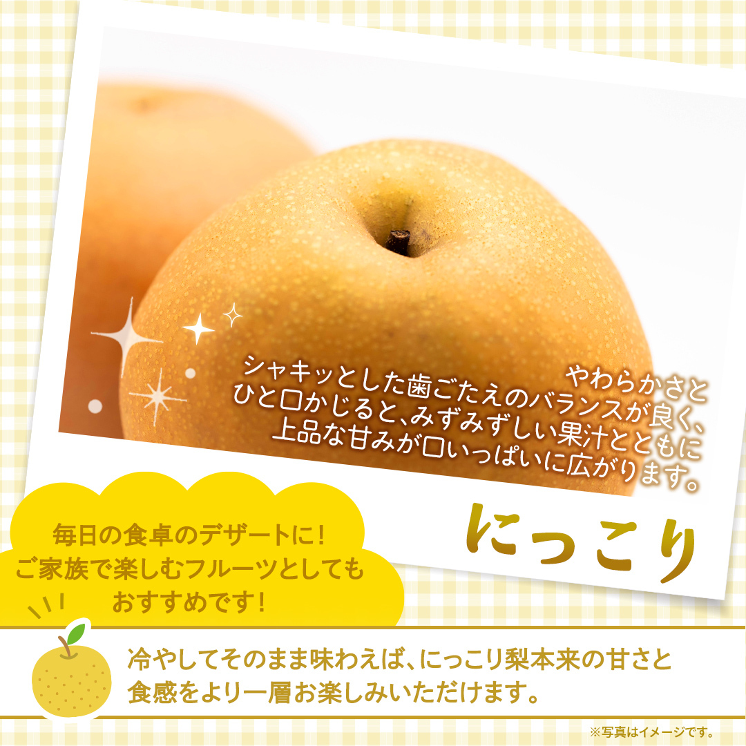 ＜ 訳あり ＞ にっこり 約5kg 【2026年10月より発送開始】（茨城県共通返礼品 [梨]：大子町産） ご家庭用 フルーツ なし ナシ 和梨  梨 わけあり 果実 旬のフルーツ お取り寄せ くだも
