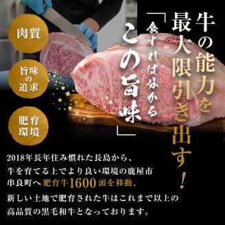 【3回定期】鹿児島県産『鹿児島黒牛』極めたハンバーグ計24個[8個×3回]【うしの中山】