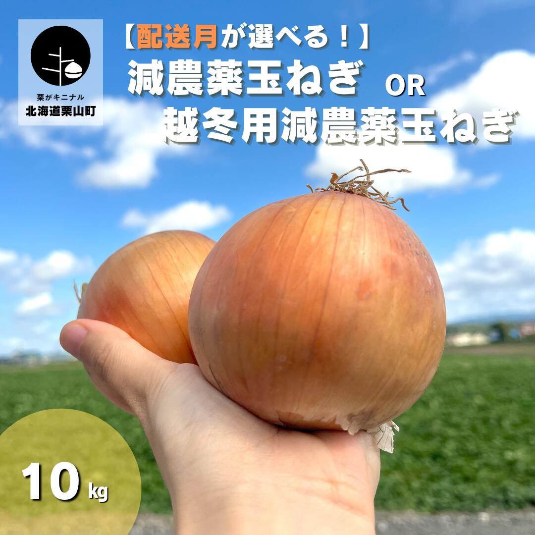 【ふるさと納税】発送月選択可能！北海道産 減農薬玉ねぎ10kg 《9月・10月・11月・12月・2026年1月発送》