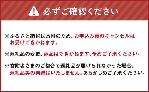 レンジで作る マサラチャイ 10個入り （1パック8g×10個） 合計80g ／ シナモン付き スパイス 紅茶 ミルクティ チャイ チャイティー 簡単 レンジ 個包装 北海道 北広島市 常温