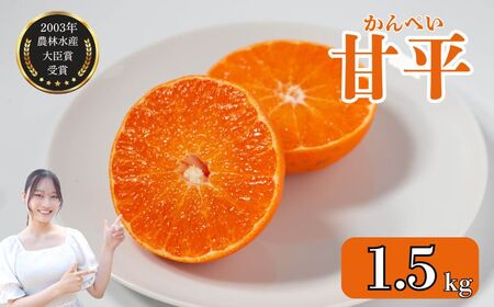 【甘平】【2026年2月頃から発送予定】甘平(かんぺい) 約1.5kg 吉本農園