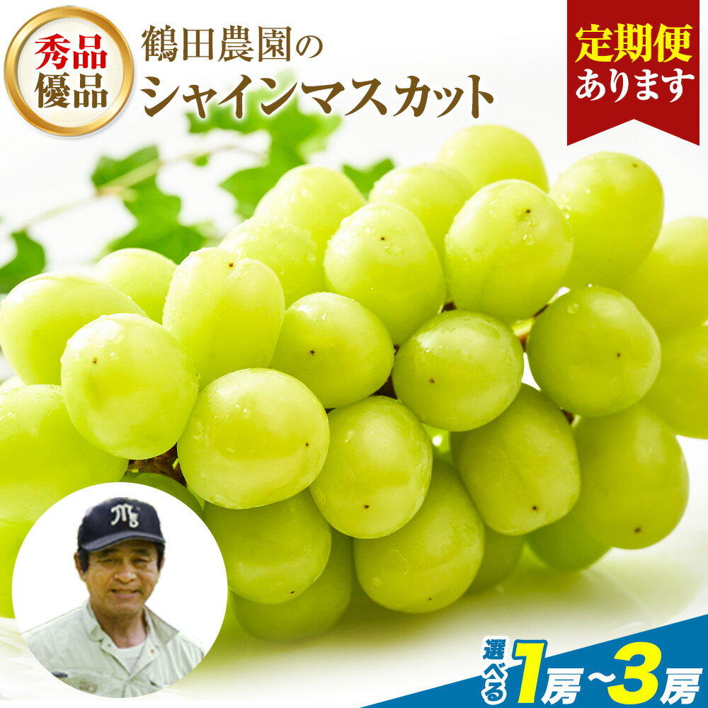 【ふるさと納税】 先行予約 シャインマスカット 2ヶ月定期便あり 選べる 秀品 優品 約500〜600g (1房) 約1.3kg (2〜3房) 熊本県荒尾市産 《出荷時期をお選びください》 熊本県 荒尾市 フルーツ 果物 送料無料 葡萄 ぶどう マスカット 選べる 鶴田農園