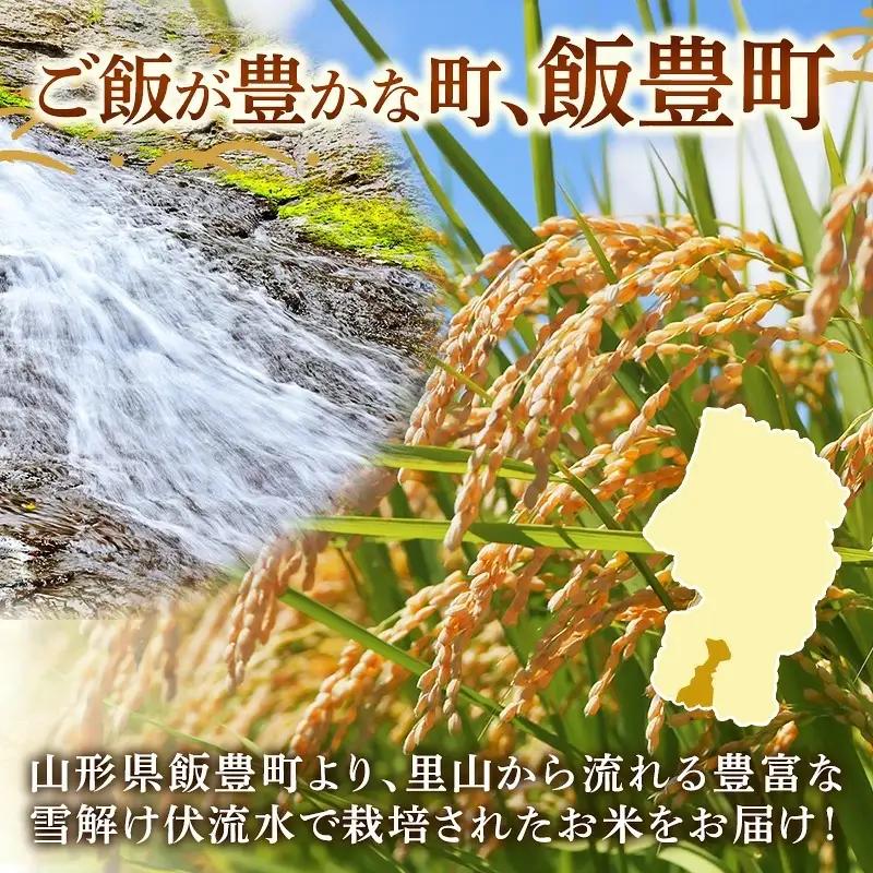 人気のブランド米 はえぬき 玄米 10kg 令和7年産 - 山形県 飯豊町産 米 銘柄 ブランド米 田園サービスいいで【価格改定X】
