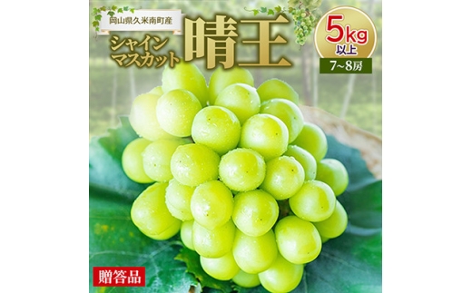 久米南シャインマスカット5kg以上(7～8房)＜贈答品＞【1016882】