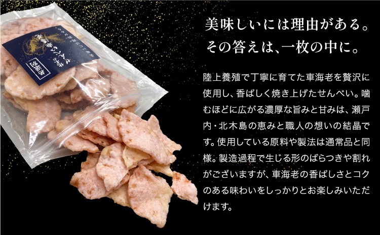 ラフィアブレードソフトハットセーラ