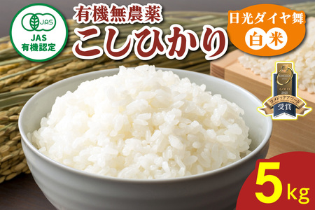 [数量限定／令和7年度米] こしひかり《日光ダイヤ舞／白米5kg》 [0929]