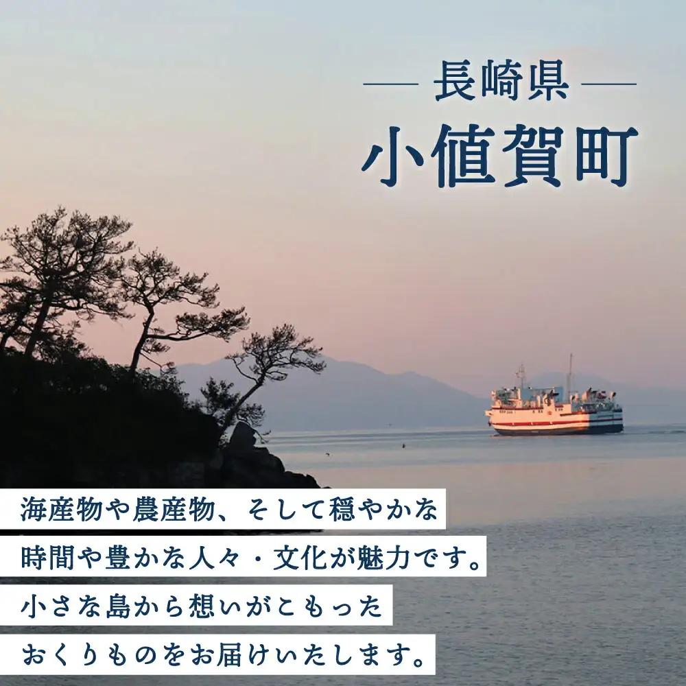 長崎大とろ角煮まんじゅう 10個 [DBG012] 角煮まんじゅう 惣菜 長崎