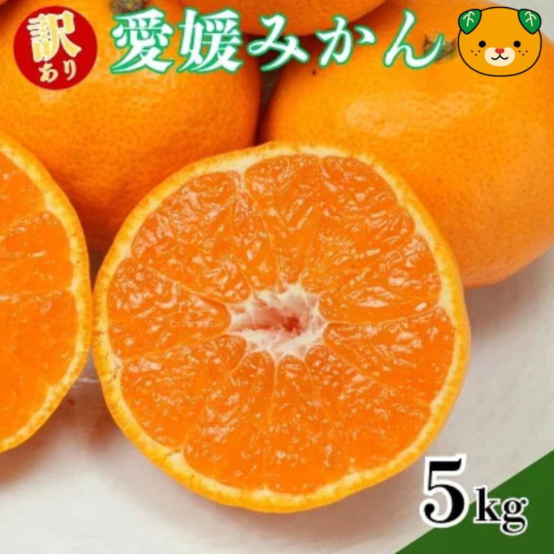 【先行予約：2026年11月中旬～発送】訳あり愛媛みかん 5kg +傷み保証250g 数量限定 温州みかん みかん ミカン 蜜柑 柑橘 不揃い サイズミックス 規格外 愛媛県 愛南町 愛南町青果市場組合