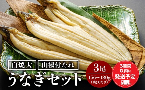 国産うなぎ白焼(大サイズ) 3尾セット_M069-019