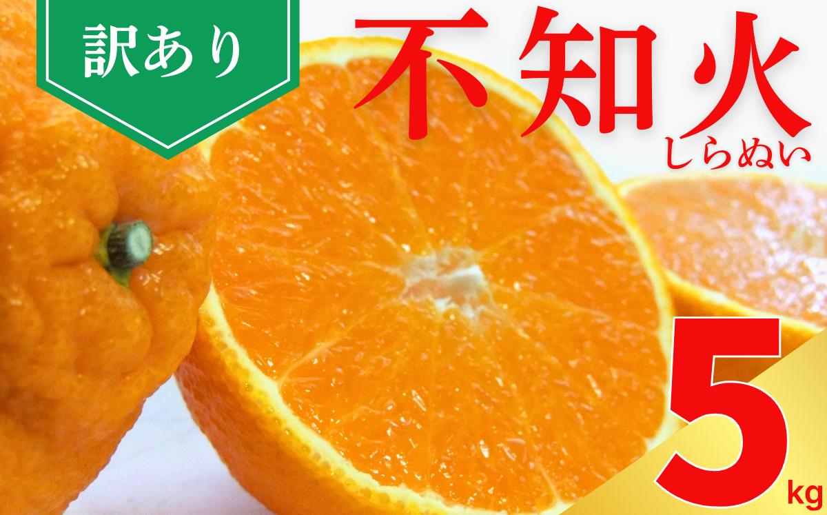 
            訳あり 不知火 5kg 10000円 柑橘 フルーツ 果物 みかん 家庭用 家庭用 甘い ジューシー 高糖度 多汁 皮むき 簡単 人気 柑橘類 規格外 ワケあり 訳アリ 自宅用 食品 新鮮 産地直送 旬 期間限定 国産 フレッシュ スイーツアレンジ おやつ 最適 お取り寄せ グルメ 通販 直送 見た目 不揃い 中身 美味しい ビタミンC 朝食 冷凍保存 可 愛媛県 愛南町 ひなたのみかん
          