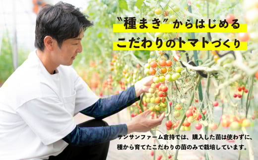 【先行受付】ミニトマト 食べ比べセット 1kg 12月発送 ミニトマト選手権「金賞」農家がつくる【 10種以上 国産 旬 フルーツトマト 高糖度 カラフル 10000円以下 】