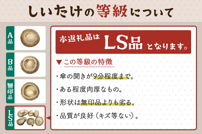 しいたけ 無印品 LS（約100g）×30パック [椎茸 しいたけ シイタケ きのこ]