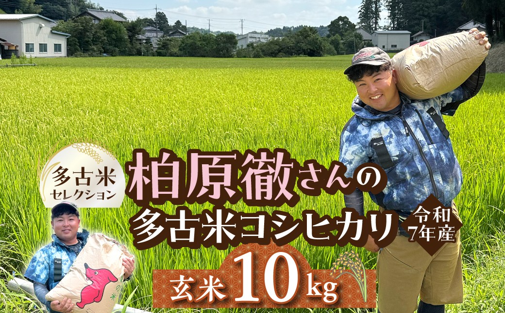 
                  多古米セレクション　柏原徹さんの多古米コシヒカリ　玄米10kg　令和7年産 TAKF064
                