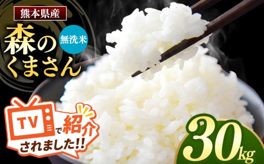 森のくまさん 無洗米 30kg 5kg×6袋 | お米 米 無洗米 森のくまさん 30キロ 国産 国産米 熊本県 玉名市 くまもと たまな