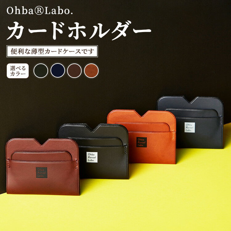 【ふるさと納税】【選べるカラー】カードホルダー