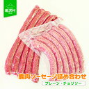 【ふるさと納税】 鹿肉ソーセージ詰め合わせふるさと納税 ソーセージ 鹿肉 チョリソー ウインナー ジビエ 山梨県 鳴沢村 送料無料 NSJ031