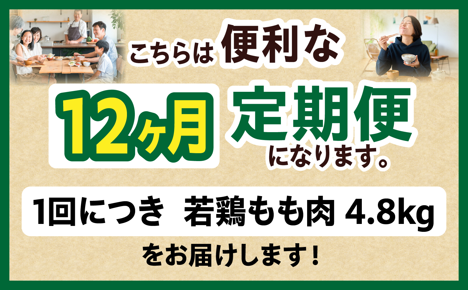 宮崎県産 若鶏切身もも肉 4.8kg（300g×16袋）【12か月定期便】