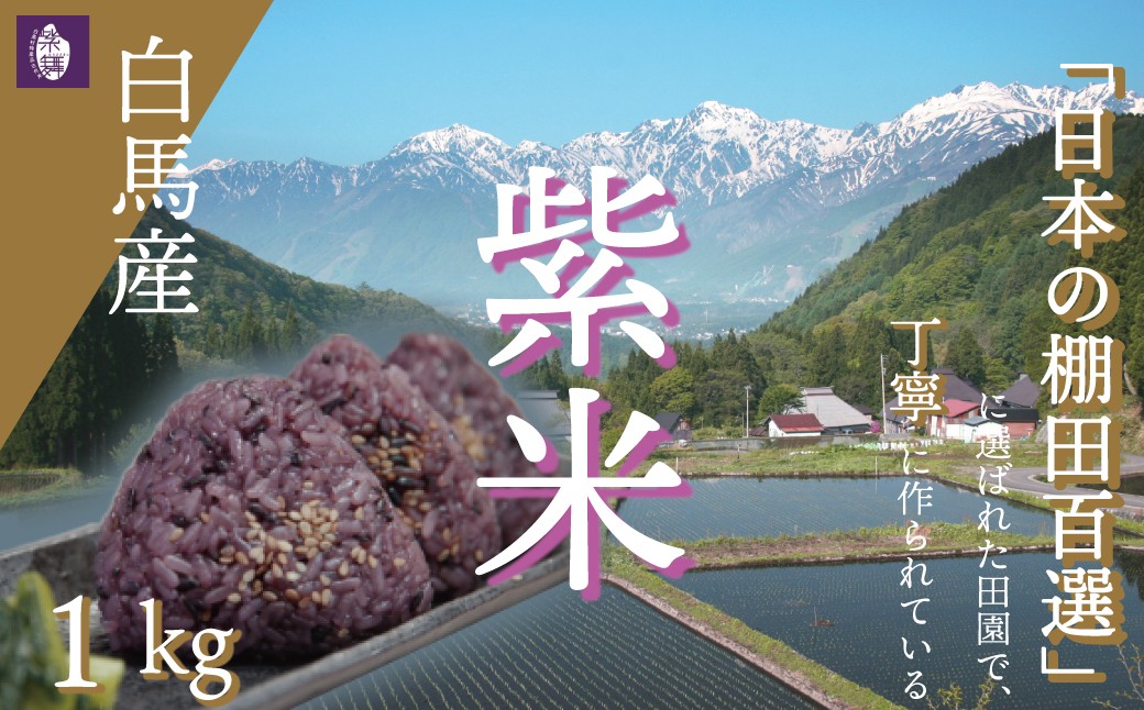 
                  長野県白馬村産  青鬼で取れた紫米 1kg/新米  コメ  雑穀  古代米  スーパーフード  健康  食物繊維  ポリフェノール  国産  信州  棚田百選【B0140509】
                