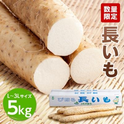 ふるさと納税 美幌町 [先行受付]「数量限定」長いも・5kg