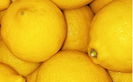 2026年お届け イエローレモン（露地栽培）約2.5kg 果物類 柑橘類 柑橘 檸檬 